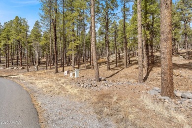 2851 and 2937 Ben Brooks Lot #2 and #3 - The Estates at Forest on Forest Highlands Golf Club - The Canyon in Arizona - for sale on GolfHomes.com, golf home, golf lot