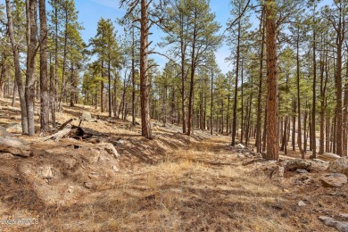 2851 and 2937 Ben Brooks Lot #2 and #3 - The Estates at Forest on Forest Highlands Golf Club - The Canyon in Arizona - for sale on GolfHomes.com, golf home, golf lot