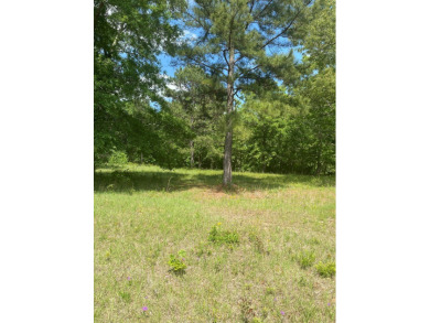 Building lot overlooking # 6 green and on Southern Hills Golf Club in Georgia - for sale on GolfHomes.com, golf home, golf lot