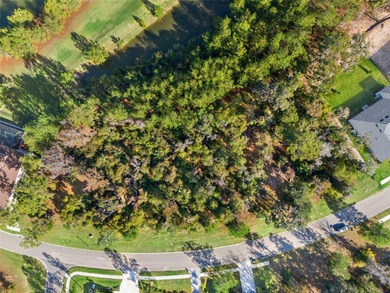 Buildable lot available in Southern Hills with an incredible on Southern Hills Plantation Club in Florida - for sale on GolfHomes.com, golf home, golf lot