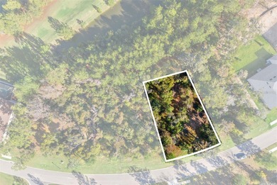 Buildable lot available in Southern Hills with an incredible on Southern Hills Plantation Club in Florida - for sale on GolfHomes.com, golf home, golf lot