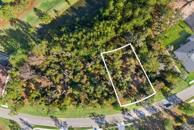 Buildable lot available in Southern Hills with an incredible on Southern Hills Plantation Club in Florida - for sale on GolfHomes.com, golf home, golf lot