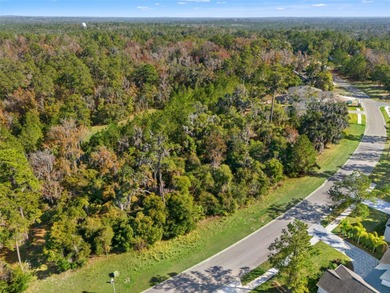 Buildable lot available in Southern Hills with an incredible on Southern Hills Plantation Club in Florida - for sale on GolfHomes.com, golf home, golf lot