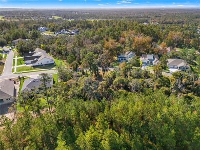 Buildable lot available in Southern Hills with an incredible on Southern Hills Plantation Club in Florida - for sale on GolfHomes.com, golf home, golf lot