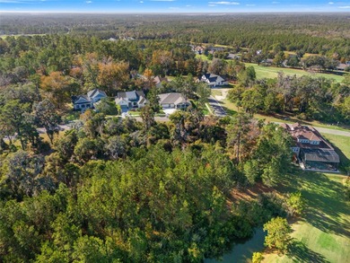 Buildable lot available in Southern Hills with an incredible on Southern Hills Plantation Club in Florida - for sale on GolfHomes.com, golf home, golf lot