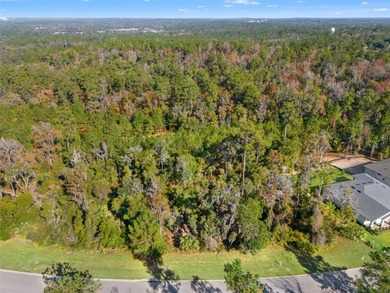 Buildable lot available in Southern Hills with an incredible on Southern Hills Plantation Club in Florida - for sale on GolfHomes.com, golf home, golf lot