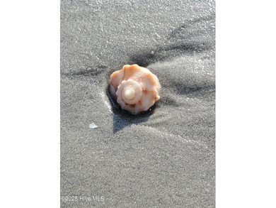 Are you looking to build your dream home in one of the most on Rivers Edge Golf Club in North Carolina - for sale on GolfHomes.com, golf home, golf lot