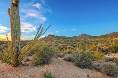 Fabulous 1.4 acre lot in the village of Saguaro Forest, Desert on Desert Mountain Club - Apache Golf Course in Arizona - for sale on GolfHomes.com, golf home, golf lot