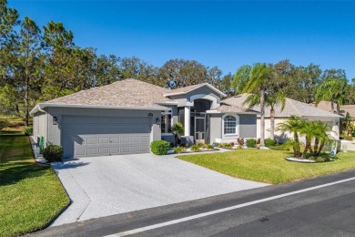 UPGRADES GALORE IN THIS ELEGANT MOVE-IN-READY SHOWPLACE! on Tampa Bay Golf and Country Club in Florida - for sale on GolfHomes.com, golf home, golf lot