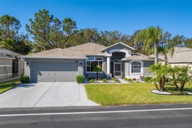 UPGRADES GALORE IN THIS ELEGANT MOVE-IN-READY SHOWPLACE! on Tampa Bay Golf and Country Club in Florida - for sale on GolfHomes.com, golf home, golf lot