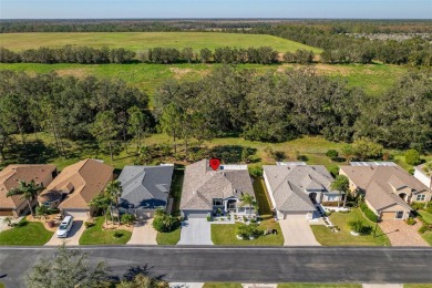 UPGRADES GALORE IN THIS ELEGANT MOVE-IN-READY SHOWPLACE! on Tampa Bay Golf and Country Club in Florida - for sale on GolfHomes.com, golf home, golf lot