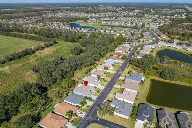 UPGRADES GALORE IN THIS ELEGANT MOVE-IN-READY SHOWPLACE! on Tampa Bay Golf and Country Club in Florida - for sale on GolfHomes.com, golf home, golf lot