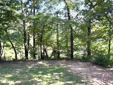 Charming 3 bedroom 2 bath home on a large corner lot.  Kitchen on Bella Vista Country Club - Berksdale in Arkansas - for sale on GolfHomes.com, golf home, golf lot