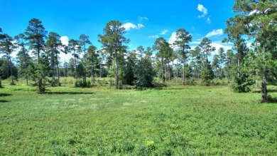 Ready to build your new home?  See this fine Swann Home East on Georgia Veterans Golf Course At Blackshear Resort in Georgia - for sale on GolfHomes.com, golf home, golf lot