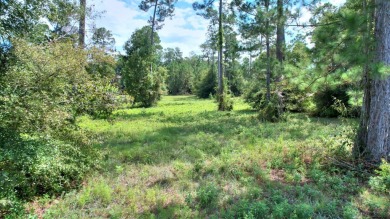 Ready to build your new home?  See this fine Swann Home East on Georgia Veterans Golf Course At Blackshear Resort in Georgia - for sale on GolfHomes.com, golf home, golf lot