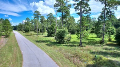 Ready to build your new home?  See this fine Swann Home East on Georgia Veterans Golf Course At Blackshear Resort in Georgia - for sale on GolfHomes.com, golf home, golf lot