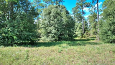 Ready to build your new home ?  See this fine Swann Home East on Georgia Veterans Golf Course At Blackshear Resort in Georgia - for sale on GolfHomes.com, golf home, golf lot