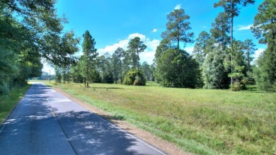 Ready to build your new home ?  See this fine Swann Home East on Georgia Veterans Golf Course At Blackshear Resort in Georgia - for sale on GolfHomes.com, golf home, golf lot