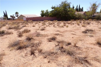 Nice flat lot on a cult-a-sac ready for you to build your home on Valle Vista Golf Course in Arizona - for sale on GolfHomes.com, golf home, golf lot