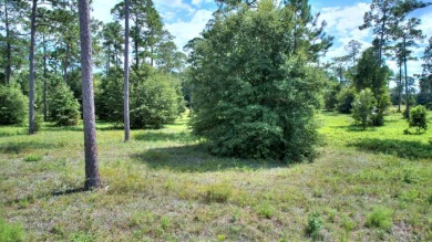 Ready to build your new home ?  See this fine Swann Home East on Georgia Veterans Golf Course At Blackshear Resort in Georgia - for sale on GolfHomes.com, golf home, golf lot