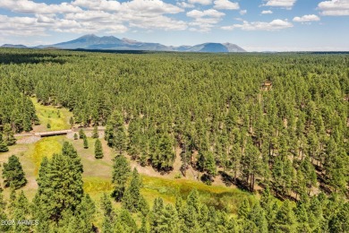 A rare opportunity to own a legacy property in one of Arizona's on Forest Highlands Golf Club - The Canyon in Arizona - for sale on GolfHomes.com, golf home, golf lot