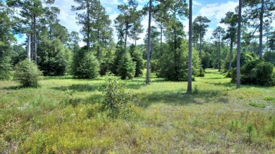 Ready to build your new home ?  See this fine Swann Home East on Georgia Veterans Golf Course At Blackshear Resort in Georgia - for sale on GolfHomes.com, golf home, golf lot