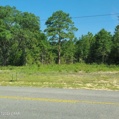 Sunny Hills Residential Lot on Golf Course. Lot is cleared, on on Sunny Hills Golf and Country Club in Florida - for sale on GolfHomes.com, golf home, golf lot