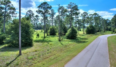 Ready to build your new home ?  See this fine Swann Home East on Georgia Veterans Golf Course At Blackshear Resort in Georgia - for sale on GolfHomes.com, golf home, golf lot