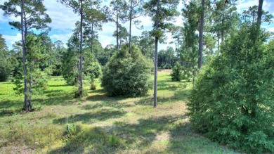 Ready to build your new home ?  See this fine Swann Home East on Georgia Veterans Golf Course At Blackshear Resort in Georgia - for sale on GolfHomes.com, golf home, golf lot