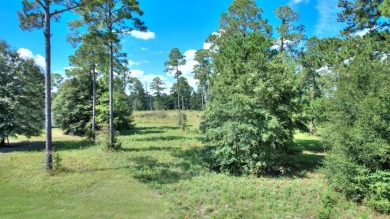 Ready to build your new home ?  See this fine Swann Home East on Georgia Veterans Golf Course At Blackshear Resort in Georgia - for sale on GolfHomes.com, golf home, golf lot