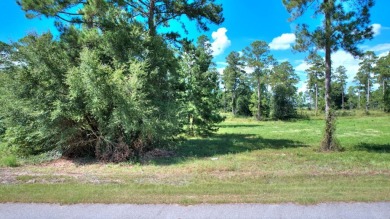 Ready to build your new home ?  See this fine Swann Home East on Georgia Veterans Golf Course At Blackshear Resort in Georgia - for sale on GolfHomes.com, golf home, golf lot