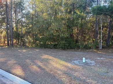 Build your coastal retreat on this 0.32-acre homesite located at on The Golf Club At Sanctuary Cove in Georgia - for sale on GolfHomes.com, golf home, golf lot