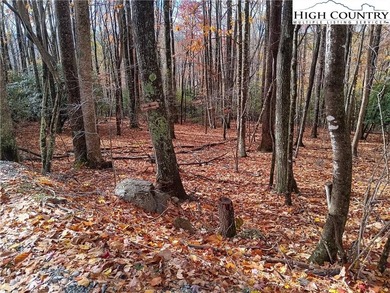 Very nice flatter building lot close to paved road. Great on Beech Mountain Club in North Carolina - for sale on GolfHomes.com, golf home, golf lot