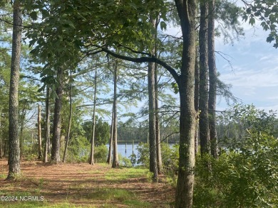 Waterfront Homesite. Located in the Gated Waterfront and Golf on Harbour Point Golf Club in North Carolina - for sale on GolfHomes.com, golf home, golf lot