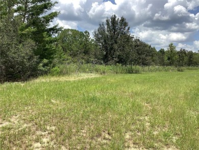 Commercial Lot Zone B2. On busy main road in Rapidly growing on Marion Oaks Country Club in Florida - for sale on GolfHomes.com, golf home, golf lot