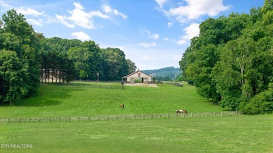 Welcome to Chestnut Hill, a private and relaxing estate centered on The Golf Club in Tennessee - for sale on GolfHomes.com, golf home, golf lot