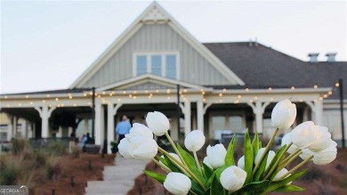 Stunning 2019 Craftsman in Bentwater - Move-In Ready & Packed on Bentwater Golf Club in Georgia - for sale on GolfHomes.com, golf home, golf lot