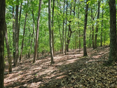 Nestled within the serene and exclusive Big Canoe community in on Big Canoe Golf Club - Cherokee in Georgia - for sale on GolfHomes.com, golf home, golf lot