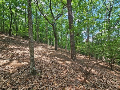 Nestled within the serene and exclusive Big Canoe community in on Big Canoe Golf Club - Cherokee in Georgia - for sale on GolfHomes.com, golf home, golf lot