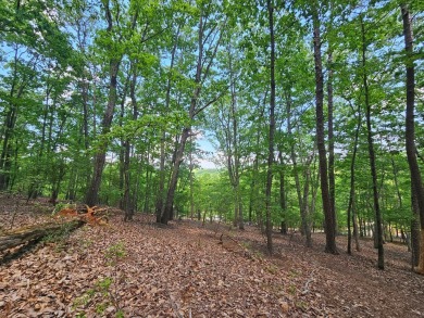 Nestled within the serene and exclusive Big Canoe community in on Big Canoe Golf Club - Cherokee in Georgia - for sale on GolfHomes.com, golf home, golf lot