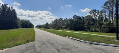 Come build your forever home on this one-half acre CANAL lot on Indian Lake Estates Golf and Country Club in Florida - for sale on GolfHomes.com, golf home, golf lot