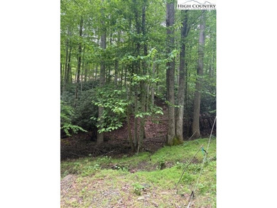 Beautiful Corner Wooded Lot, With Road access on three sides on Beech Mountain Club in North Carolina - for sale on GolfHomes.com, golf home, golf lot