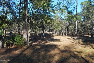 Rare opportunity to own this beautiful .68 acre home-site in the on Lockwood Folly Country Club in North Carolina - for sale on GolfHomes.com, golf home, golf lot