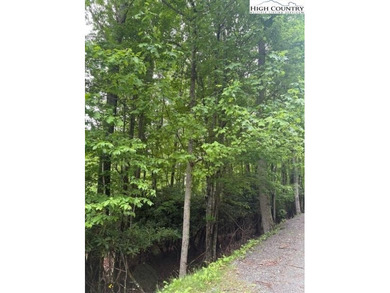 Beautiful Corner Wooded Lot, With Road access on three sides on Beech Mountain Club in North Carolina - for sale on GolfHomes.com, golf home, golf lot