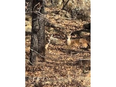 Build your dream home in the prestigious, gated Nocona Hills on Nocona Hills Golf Course in Texas - for sale on GolfHomes.com, golf home, golf lot