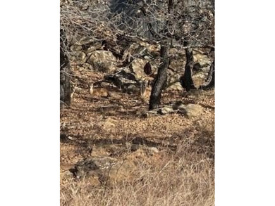 Build your dream home in the prestigious, gated Nocona Hills on Nocona Hills Golf Course in Texas - for sale on GolfHomes.com, golf home, golf lot