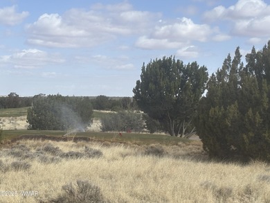 Located in the desirable Eagle Crest neighborhood, this prime on Silver Creek Golf Club in Arizona - for sale on GolfHomes.com, golf home, golf lot