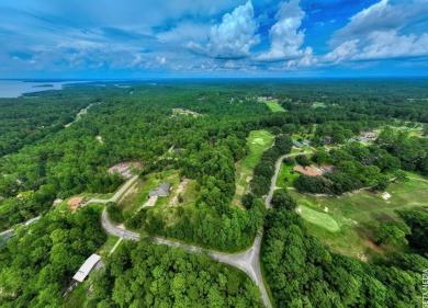 ust under 1/2 acre lot in the heart of Rayburn Country! on Rayburn Country Club in Texas - for sale on GolfHomes.com, golf home, golf lot