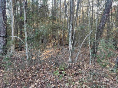 ust under 1/2 acre lot in the heart of Rayburn Country! on Rayburn Country Club in Texas - for sale on GolfHomes.com, golf home, golf lot