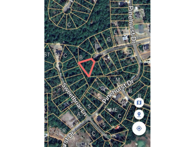 ust under 1/2 acre lot in the heart of Rayburn Country! on Rayburn Country Club in Texas - for sale on GolfHomes.com, golf home, golf lot